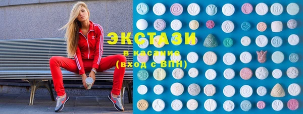 ECSTASY Богородицк